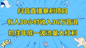 抖音直播暴利项目，有人30小时收入36万音浪，公司宣传片年会视频制作，抓住年底一波流量大红利【揭秘】-晟哥学社资源库