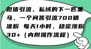 怎么搞精准创业粉？微信新赛道，每天一小时，利用Ai一个问答日引100精准粉-晟哥学社资源库
