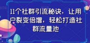 11个社群引流秘诀,让用户裂变倍增,轻松打造社群流量池-晟哥学社资源库