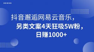 抖音邂逅网易云音乐，另类文案4天狂吸5W粉，日赚1000+【揭秘】-晟哥学社资源库