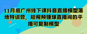 11月底广州线下课抖音直播模型落地特训营，短视频锤爆直播间的平播可复制模型-晟哥学社资源库