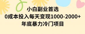 小白副业首选，0成本投入，每天变现1000-2000年底暴力冷门项目【揭秘】-晟哥学社资源库