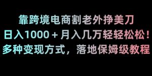 靠跨境电商割老外挣美刀,日入1000+月入几万轻轻松松!多种变现方式,落地保姆级教程【揭秘】-晟哥学社资源库