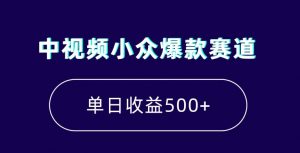 中视频小众爆款赛道，7天涨粉5万+，小白也能无脑操作，轻松月入上万【揭秘】-晟哥学社资源库