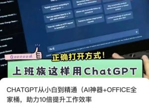 CHATGPT从小白到精通，AI神器+OFFICE全家桶，助力10倍提升工作效率-晟哥学社资源库