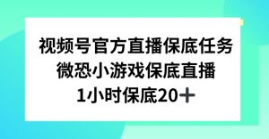 视频号直播任务，微恐小游戏，1小时20+【揭秘】-晟哥学社资源库
