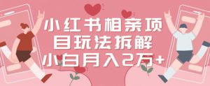 小红书相亲项目玩法拆解,有人通过这个副业项目做到了月收入2万多【揭秘】-晟哥学社资源库