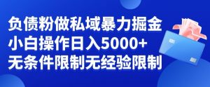 负债粉私域暴力掘金，小白操作入5000，无经验限制，无条件限制【揭秘】-晟哥学社资源库