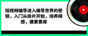 短视频编导进入编导世界的密钥，入门从拆片开始，培养网感，建素素库-晟哥学社资源库