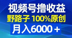 视频号野路子撸收益，100%原创，条条爆款，月入6000＋【揭秘】-晟哥学社资源库
