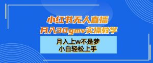 小红书无人直播月入30gmv实操教学，月入上w不是梦，小白轻松上手【揭秘】-晟哥学社资源库