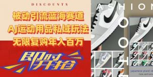 被动引流蓝海赛道，AJ运动用品私域玩法，无限复购年入百万【揭秘】-晟哥学社资源库