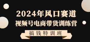 2024年风口赛道视频号电商带货训练营搞钱特训班，带领大家快速入局自媒体电商带货-晟哥学社资源库