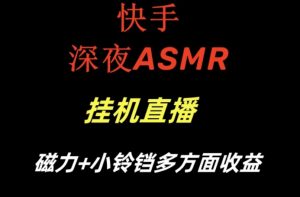 快手深夜ASMR挂机直播，磁力+小铃铛收益（附带工具和5G素材）【揭秘】-晟哥学社资源库