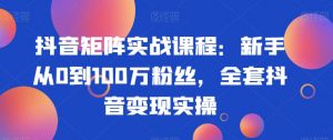抖音矩阵实战课程:新手从0到100万粉丝,全套抖音变现实操-晟哥学社资源库
