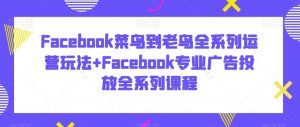 Facebook菜鸟到老鸟全系列运营玩法+Facebook专业广告投放全系列课程-晟哥学社资源库