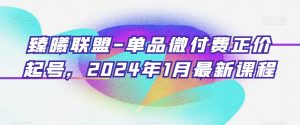 臻曦联盟-单品微付费正价起号，2024年1月最新课程-晟哥学社资源库
