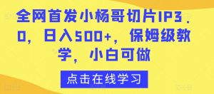 全网首发小杨哥切片IP3.0,日入500+,保姆级教学,小白可做【揭秘】-晟哥学社资源库