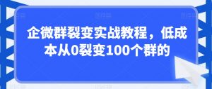 企微群裂变实战教程,低成本从0裂变100个群的-晟哥学社资源库