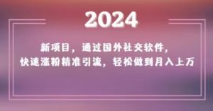2024新项目，通过国外社交软件，快速涨粉精准引流，轻松做到月入上万【揭秘】-晟哥学社资源库