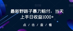 最新野路子暴力赔付，当天上手日收益1000+【仅揭秘】-晟哥学社资源库