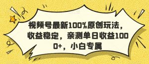 视频号最新100%原创玩法，收益稳定，亲测单日收益1000+，小白专属【揭秘】-晟哥学社资源库