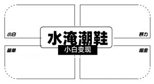 2024全新冷门水淹潮鞋无人直播玩法，小白也能轻松上手，打爆私域流量，轻松实现变现【揭秘】-晟哥学社资源库