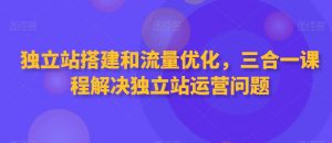 独立站搭建和流量优化,三合一课程解决独立站运营问题-晟哥学社资源库