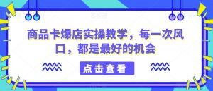 商品卡爆店实操教学，每一次风口，都是最好的机会-晟哥学社资源库