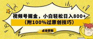 视频号掘金，小白轻松日入800+（附100%过原创技巧）【揭秘】-晟哥学社资源库