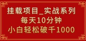 挂载项目，小白轻松破1000，每天10分钟，实战系列保姆级教程【揭秘】-晟哥学社资源库