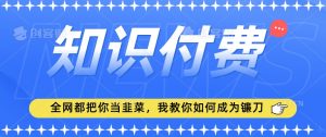 2024最新知识付费项目，小白也能轻松入局，全网都在教你做项目，我教你做镰刀【揭秘】-晟哥学社资源库