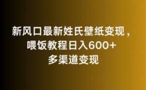 新风口最新姓氏壁纸变现，喂饭教程日入600+【揭秘】-晟哥学社资源库