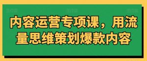 内容运营专项课,用流量思维策划爆款内容-晟哥学社资源库