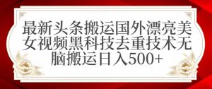 最新头条搬运国外漂亮美女视频黑科技去重技术无脑搬运日入500+【揭秘】-晟哥学社资源库