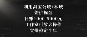利用淘宝公域+私域差价掘金，日赚1000-5000元，工作室可放大操作，实操稳定半年【揭秘】-晟哥学社资源库