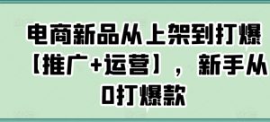 电商新品从上架到打爆【推广+运营】,新手从0打爆款-晟哥学社资源库