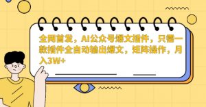 全网首发,AI公众号爆文插件,只需一款插件全自动输出爆文,矩阵操作,月入3W+【揭秘】-晟哥学社资源库