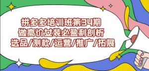 拼多多培训班第34期：做高价女装必盈利剖析选品/测款/运营/推广/拓展-晟哥学社资源库