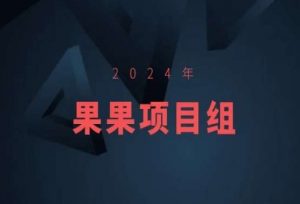 2024年果果项目组项目合集-果果最新项目-晟哥学社资源库