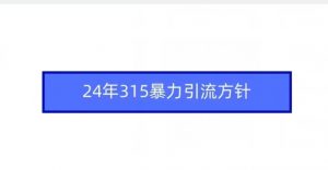 24年315暴力引流方针-晟哥学社资源库