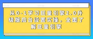 从0-1学习巨量引擎2.0升级版后台设置实操,全面了解巨量引擎-晟哥学社资源库