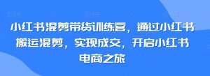 小红书混剪带货训练营,通过小红书搬运混剪,实现成交,开启小红书电商之旅-晟哥学社资源库