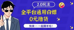 外面收费2980的全平台通用白嫖撸货项目2.0玩法【仅揭秘】-晟哥学社资源库