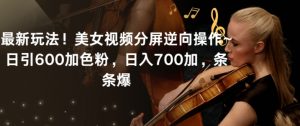 最新玩法！美女视频分屏逆向操作~日引600加色粉，日入700加，条条爆【揭秘】-晟哥学社资源库