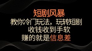 短剧风暴,教你冷门玩法,玩转短剧,收钱收到手软【揭秘】-晟哥学社资源库