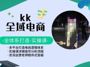 KK全域电商,全体系打造实操课,多平台打造电商逻辑体系-晟哥学社资源库