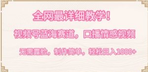 全网最详细教学，视频号蓝海赛道，口播情感视频，无需露脸，制作简单，轻松实现日入1000+【揭秘】-晟哥学社资源库