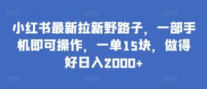小红书最新拉新野路子,一部手机即可操作,一单15块,做得好日入2000+【揭秘】-晟哥学社资源库