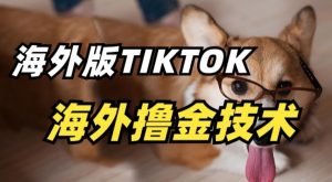 抖音海外版tiktok撸金技术，这个风口行业，赚钱真的不难【揭秘】-晟哥学社资源库